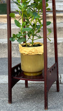 Încarcă imaginea în vizualizatorul Galerie, Suport Thonet pentru plante sau obiecte decorative, cca. anii ‘50

