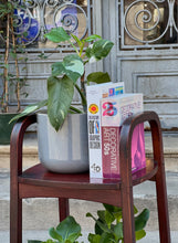 Încarcă imaginea în vizualizatorul Galerie, Suport Thonet pentru plante sau obiecte decorative, cca. anii ‘50
