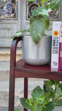 Încarcă și redă videoclipul în vizualizatorul Galerie, Suport Thonet pentru plante sau obiecte decorative, cca. anii ‘50
